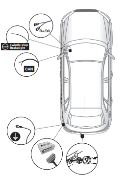 Электрика фаркопа Hak-System (7 pin) для Seat Ibiza 2017- 12500601 в 